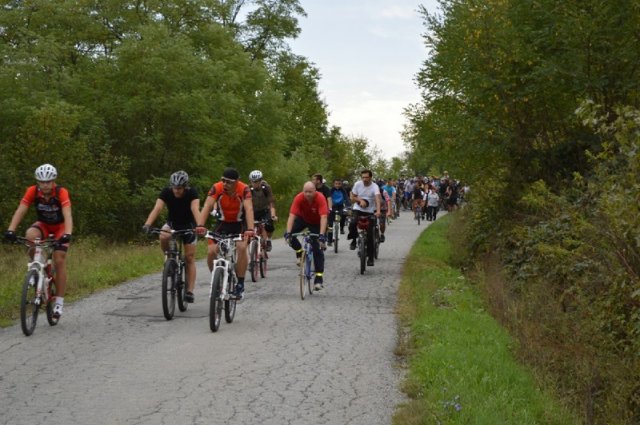 Miholje 2012